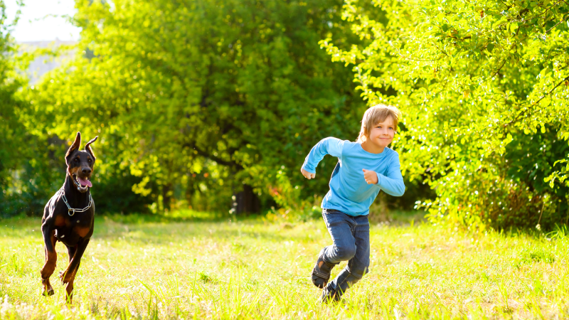 boy running away from dog or Doberman in summer park